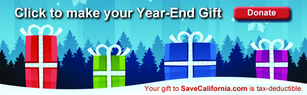 Donate_YearEnd_Gift